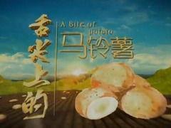 舌尖搞笑台词,搞笑台词背后的美食故事